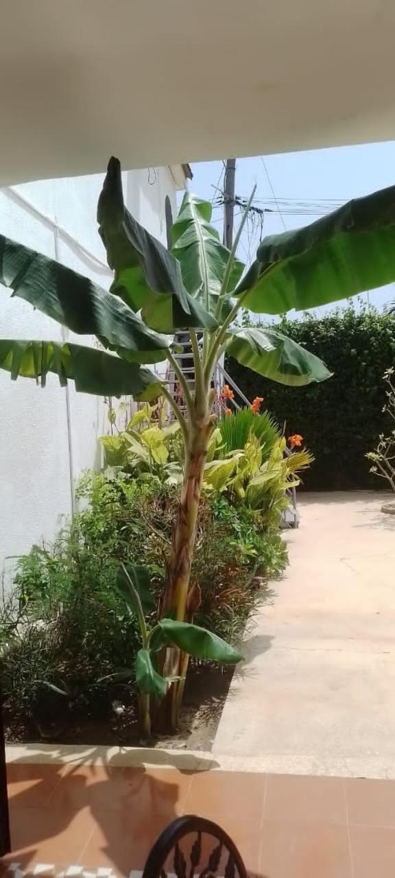 Riad côté jardin Saly Portudal Exterior foto